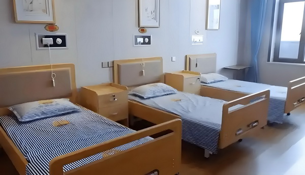 创世神缘