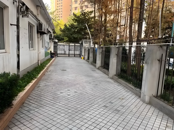 傲慢王妃：弃妃很给力